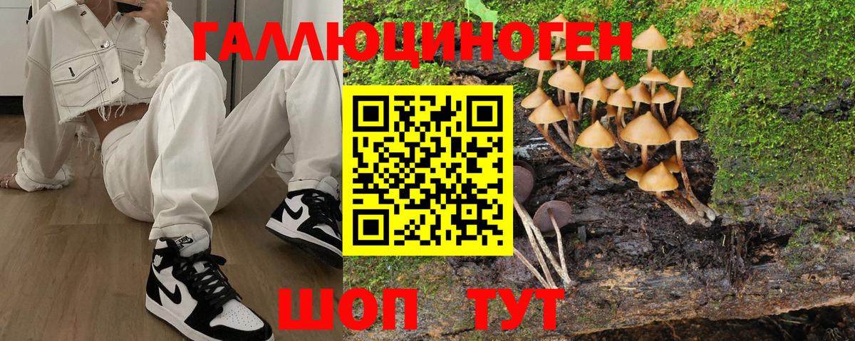 Галлюциногенные грибы Magic Shrooms  Вход с VPN  Псилоцибиновые грибы Psilocybine cubensis  Выборг 